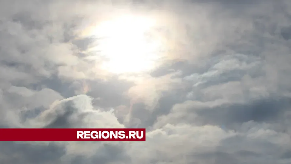Фото: REGIONS/Василий Тремасов