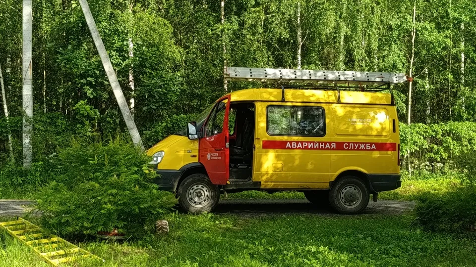 Фото: медиасток.рф