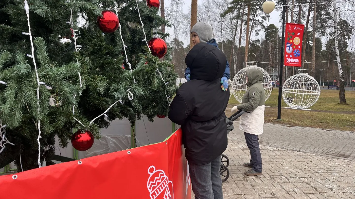 Фото: МедиаБанк Подмосковья/Ангелина Стельмух