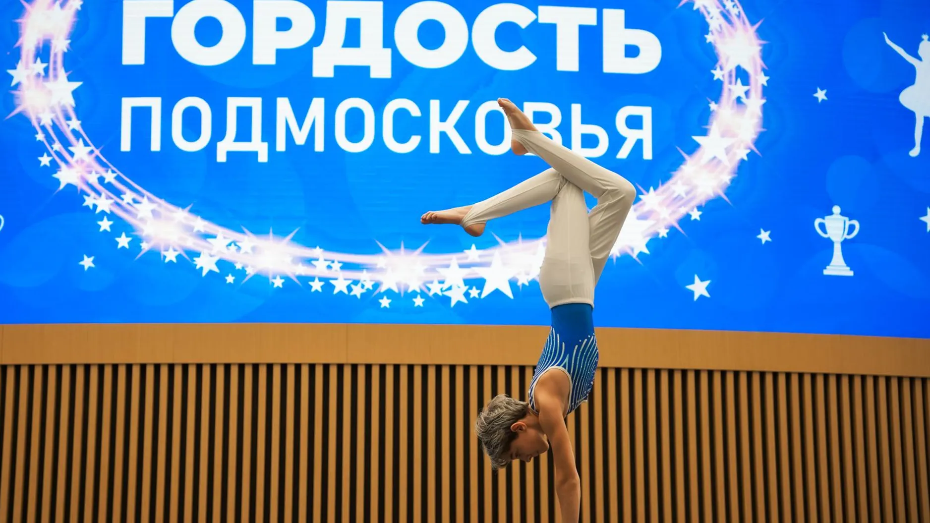 Фото: пресс-служба губернатора и правительства Московской области