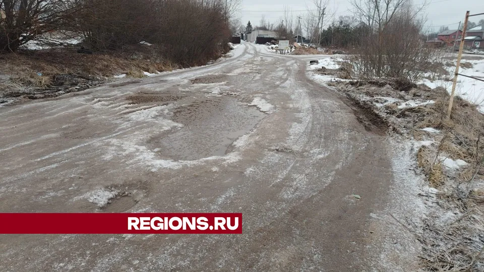 Фото: Владимир Останин