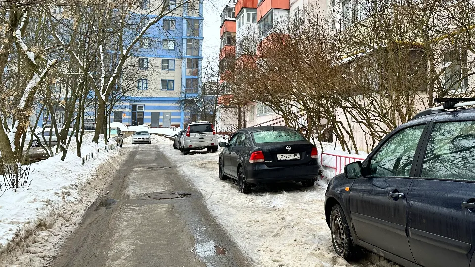 Фото: МедиаБанк Подмосковья/Лилия Закирова