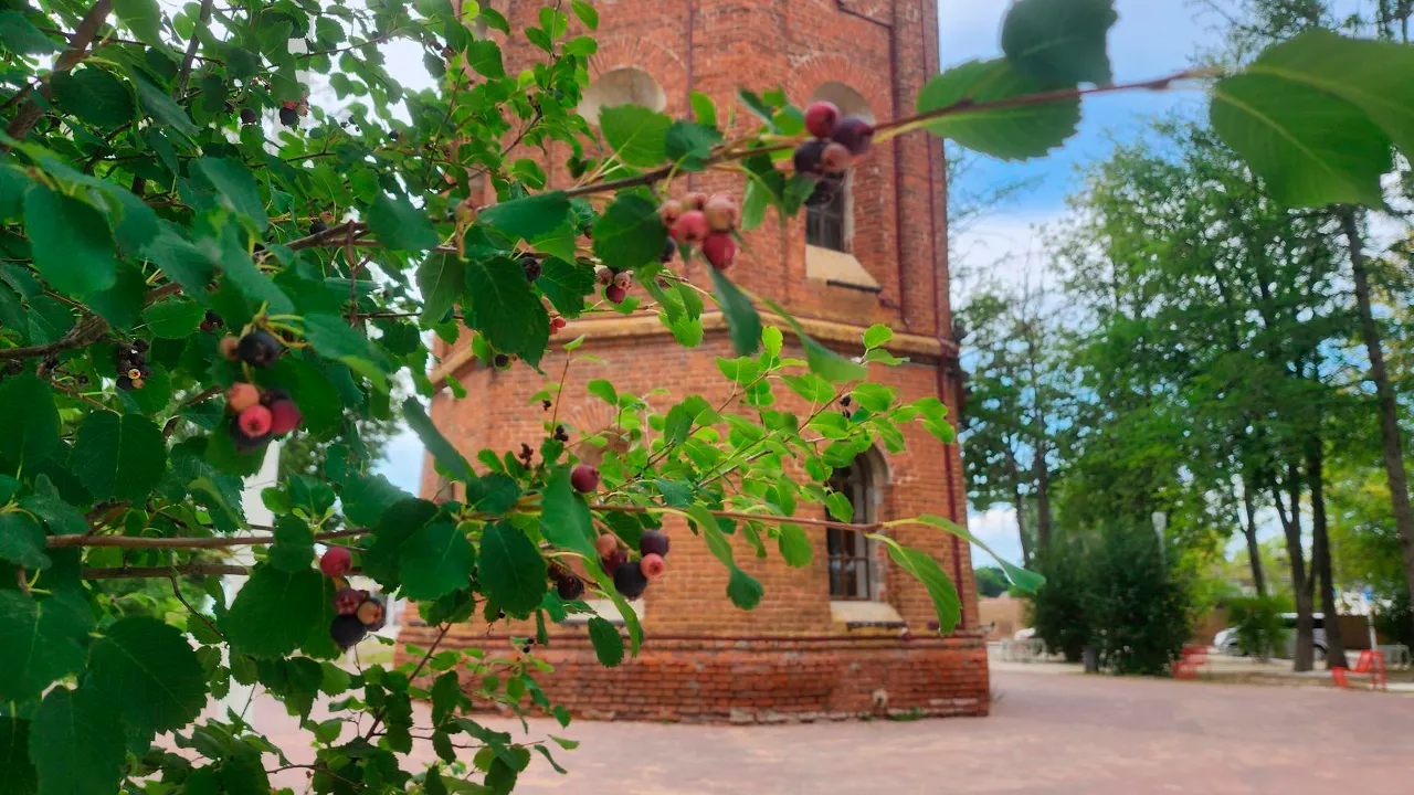 Картинка
