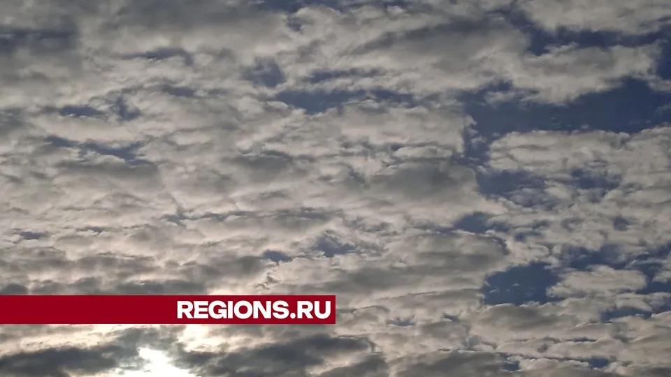 Фото: REGIONS/Юлия Куделькина