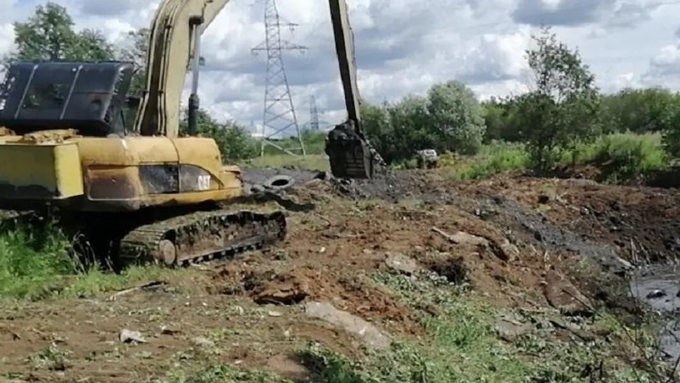 Фото: Пресс-служба Министерства экологии и природопользования Московской области