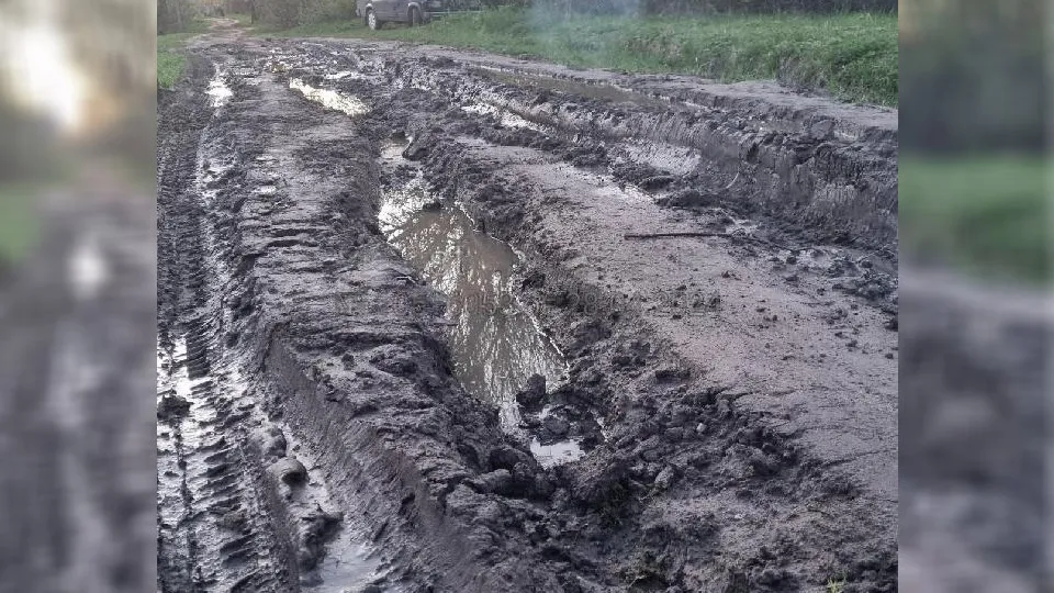 Фото: Добродел
