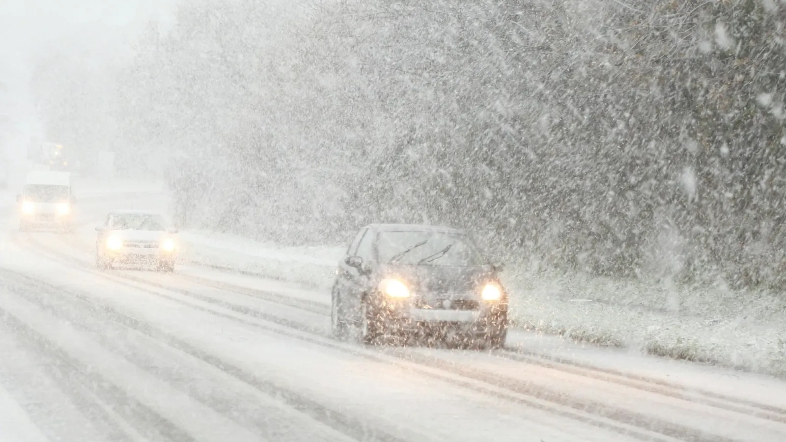 фото:.freepik.com