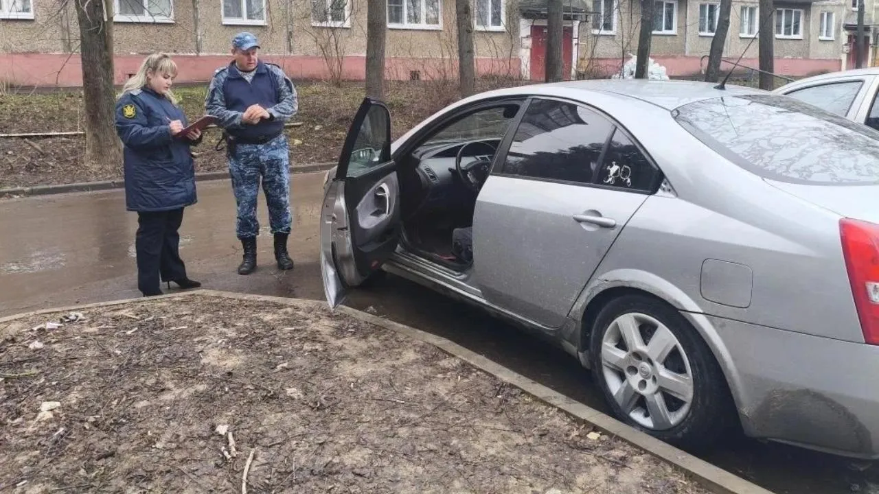 Картинка