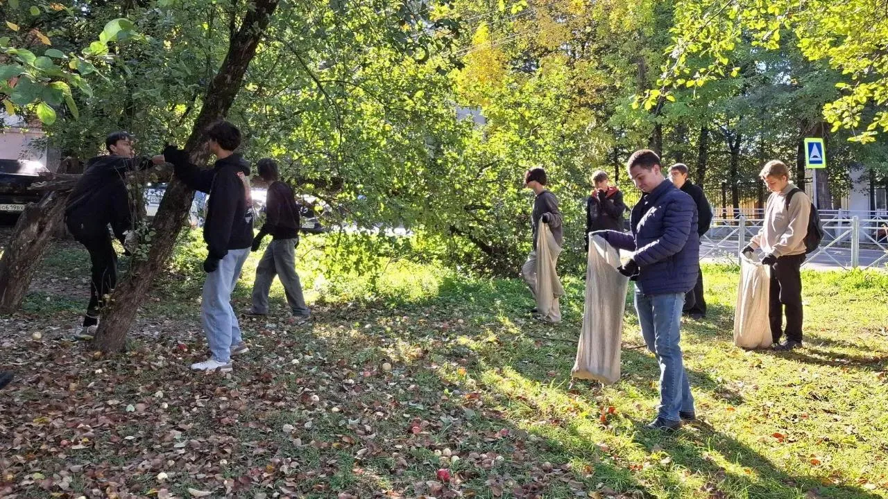 Картинка