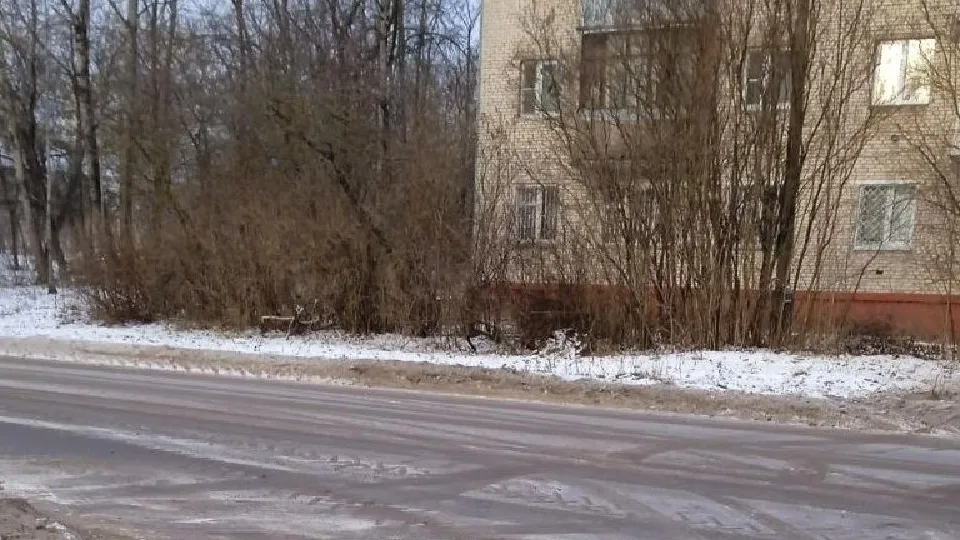 Фото: пресс-служба администрации городского округа Лосино-Петровский