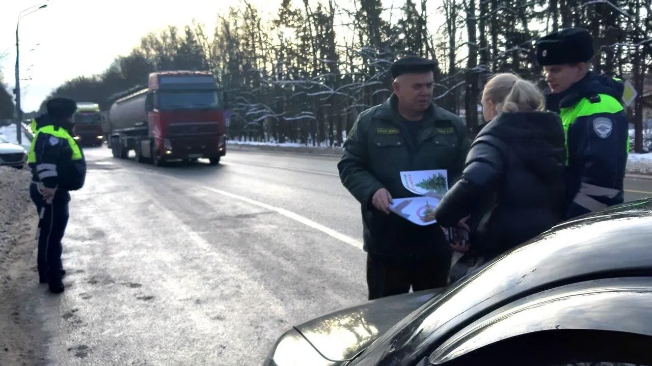 Фото: Комитет лесного хозяйства Московской области
