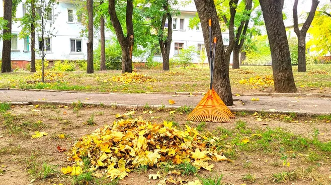 Пять субботников этой осенью: сало известно, как рязанцы благоустраивают город