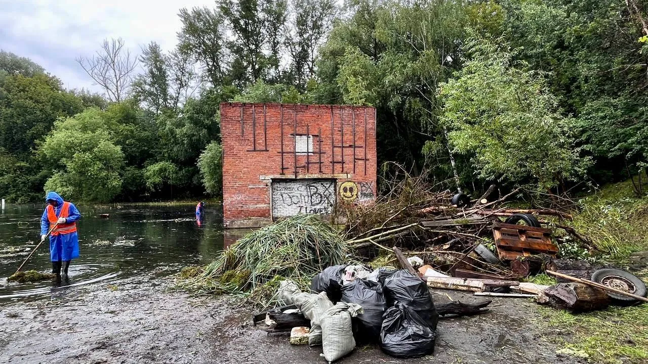 Фото: территориальное управление Красково-Малаховка