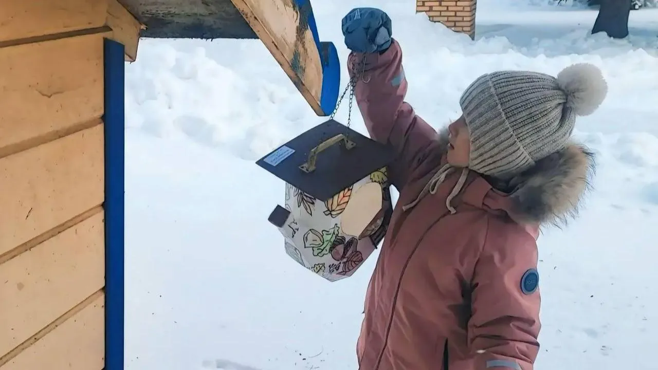 Картинка