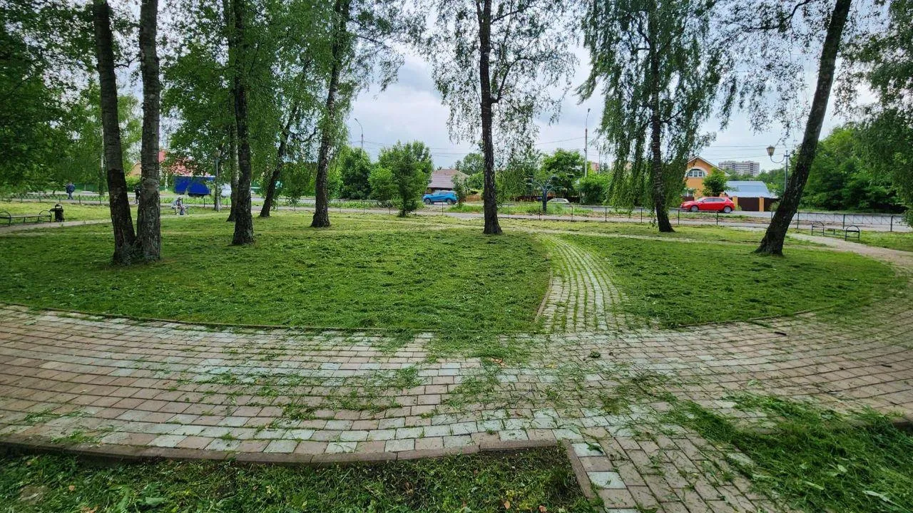 Картинка