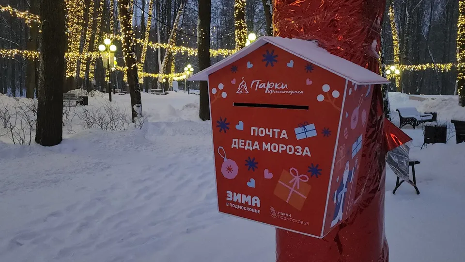 Фото: REGIONS/Артем Мишуков