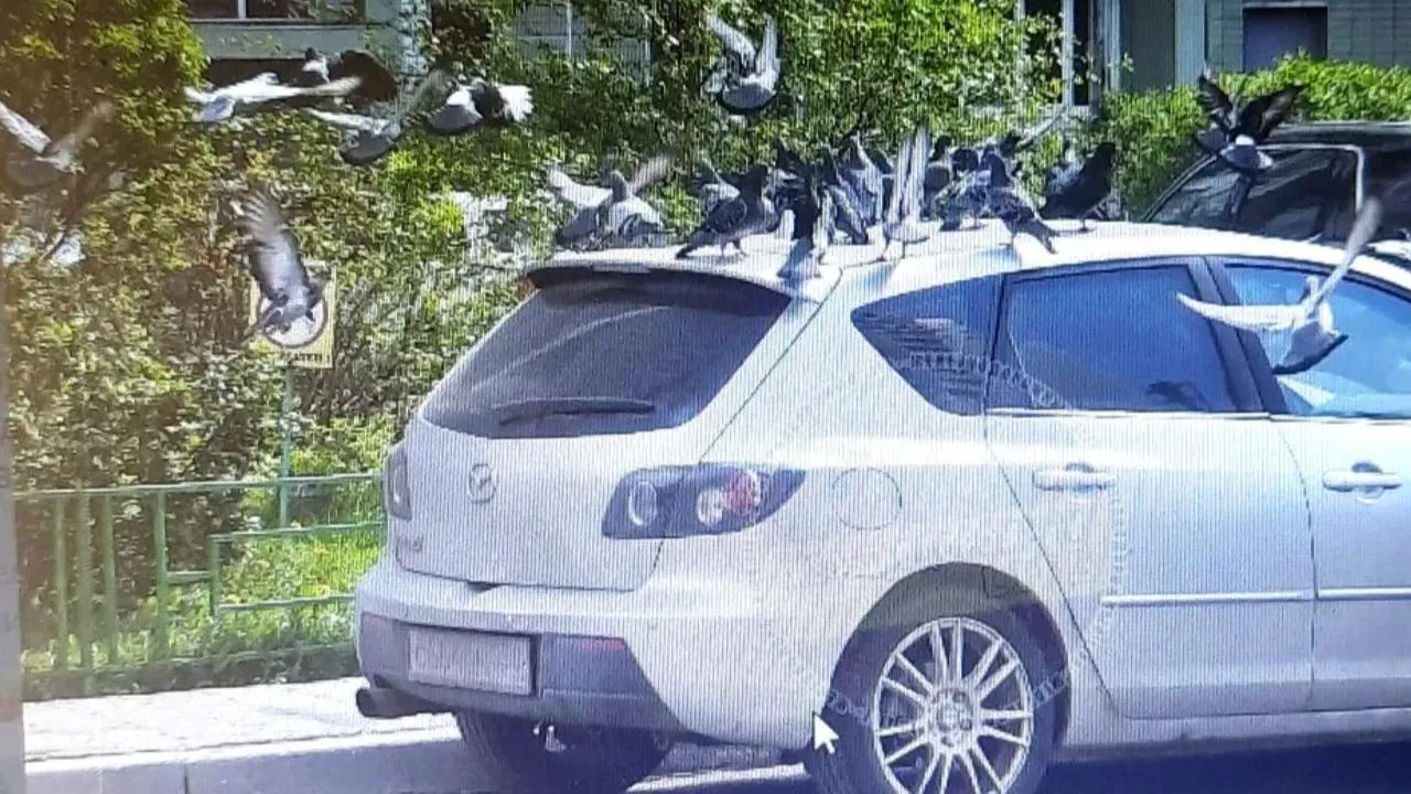 Картинка