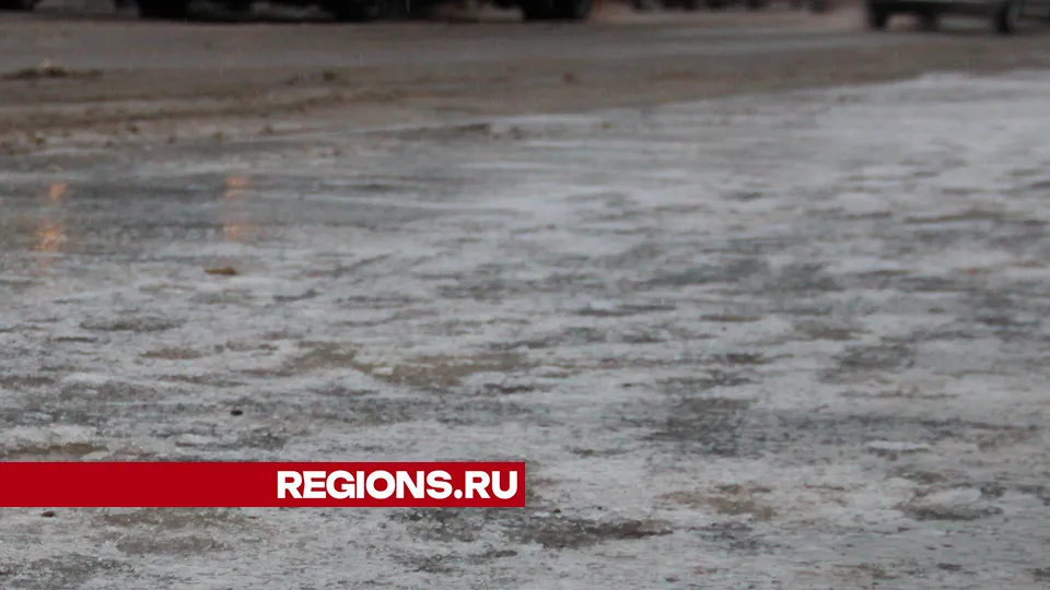 Фото: REGIONS/Василий Тремасов