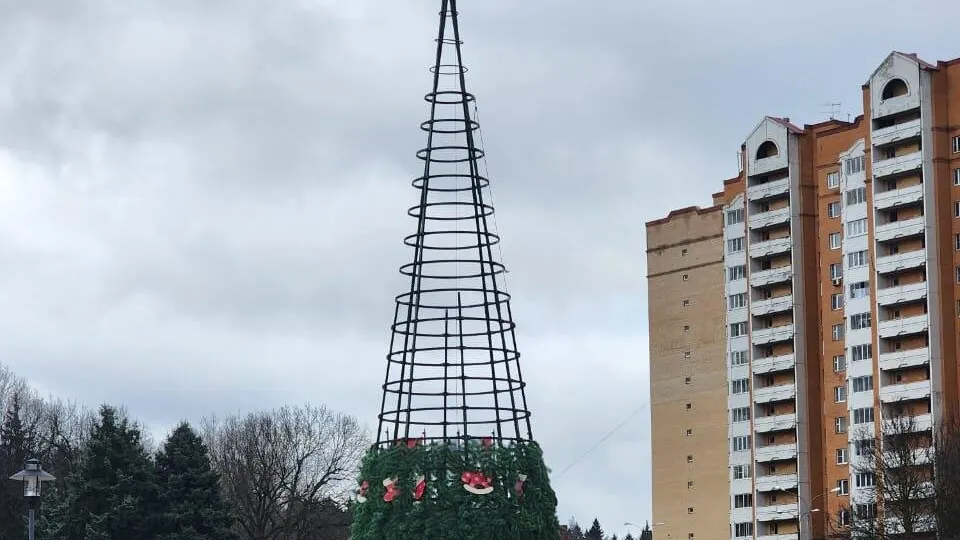 Фото: администрация Наро-Фоминского округа