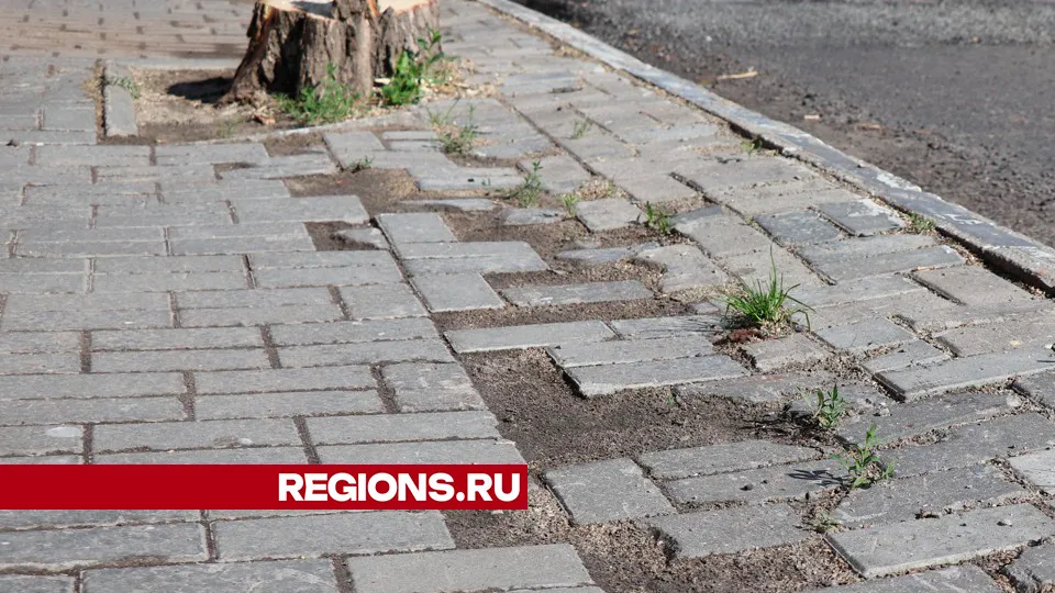Фото: REGIONS/Василий Тремасов