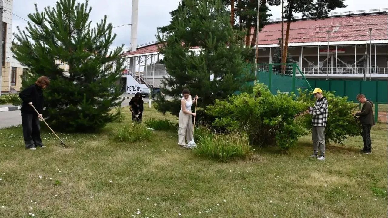 Картинка