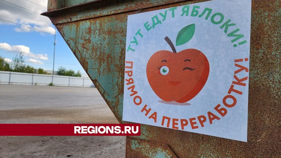 Фото: Никита Сморкалов