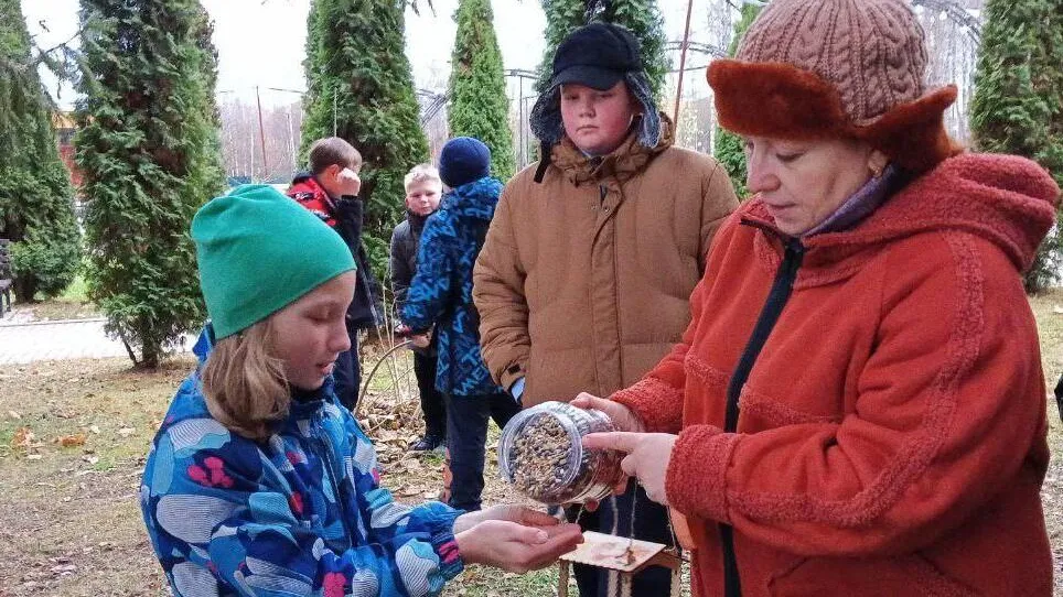 Картинка