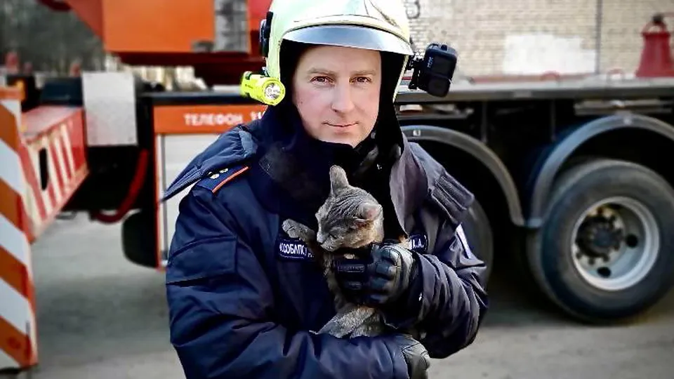Фото: ГКУ МО «Мособлпожспас»