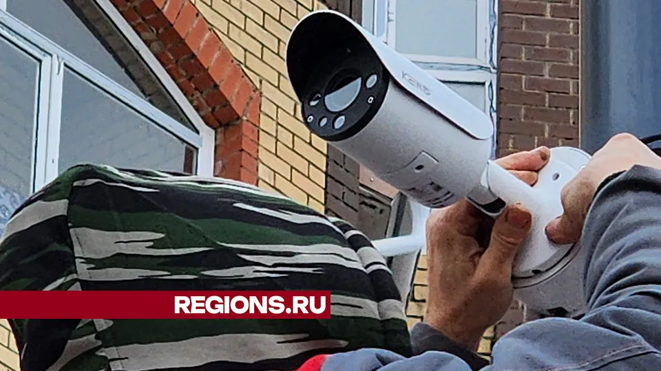 Фото: Дмитрий Беденко