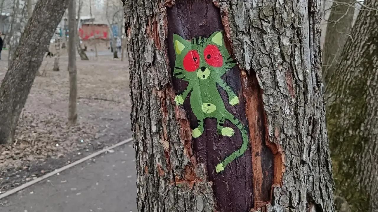 Картинка