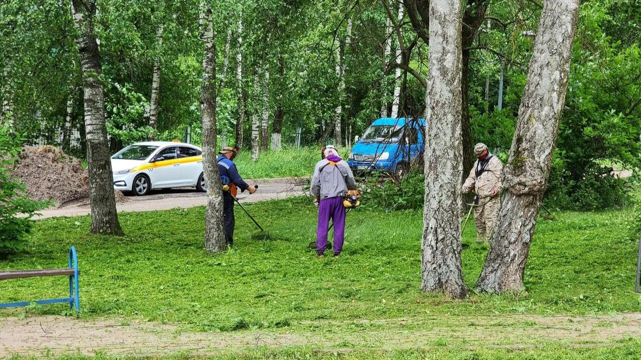 Картинка