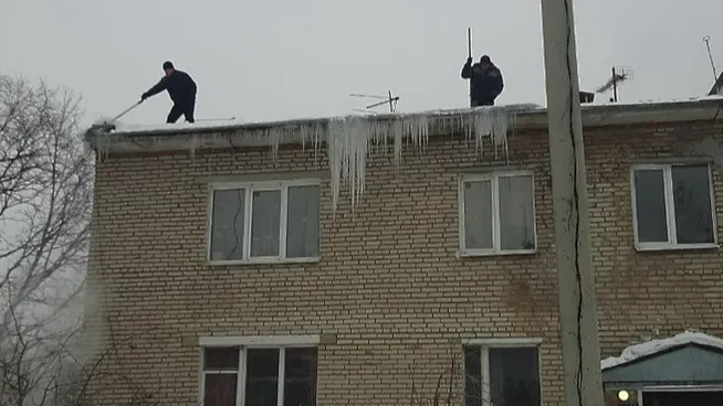 Фото: Пресс-служба администрации городского округа Истра