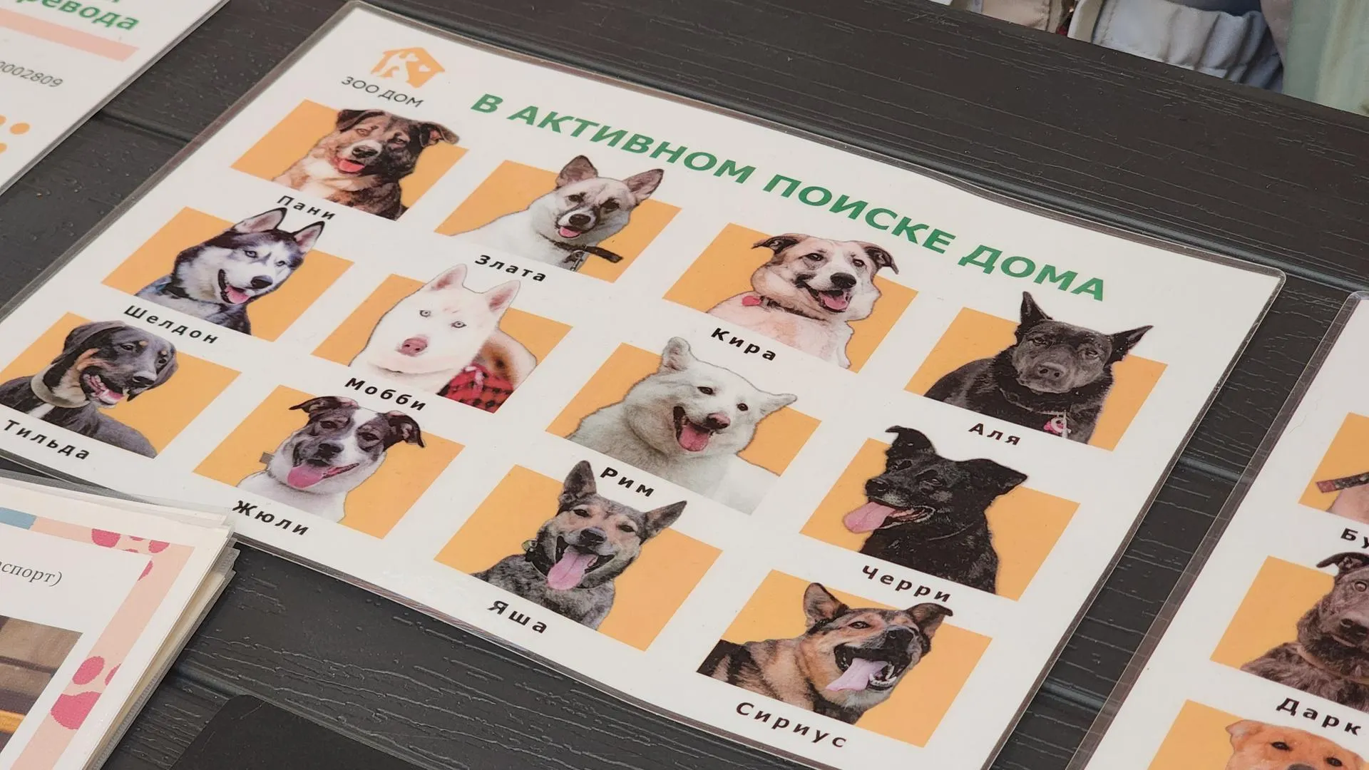 Картинка