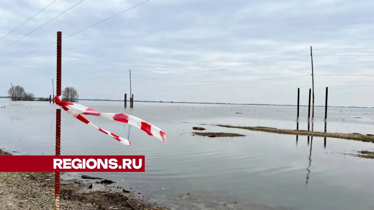 фото: Елена Фурман