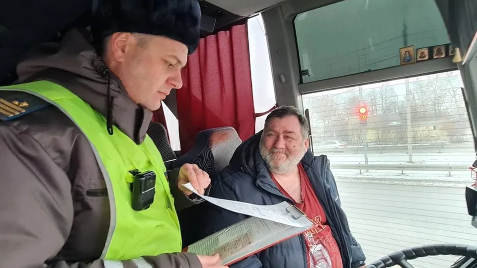 Фото: Госавтоинспекция Домодедова