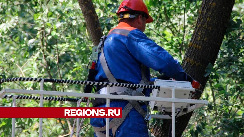 Фото: REGIONS/Василий Тремасов