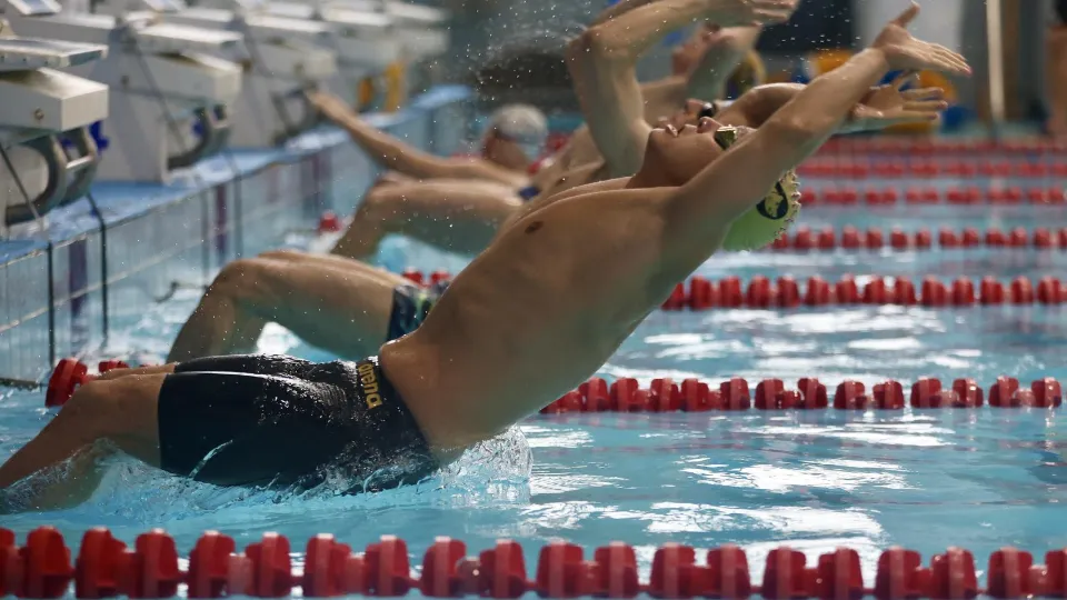 Фото: Оргкомитет Кубка чемпионов Swimcup/в спорткомплексе проводятся соревнования по плаванью