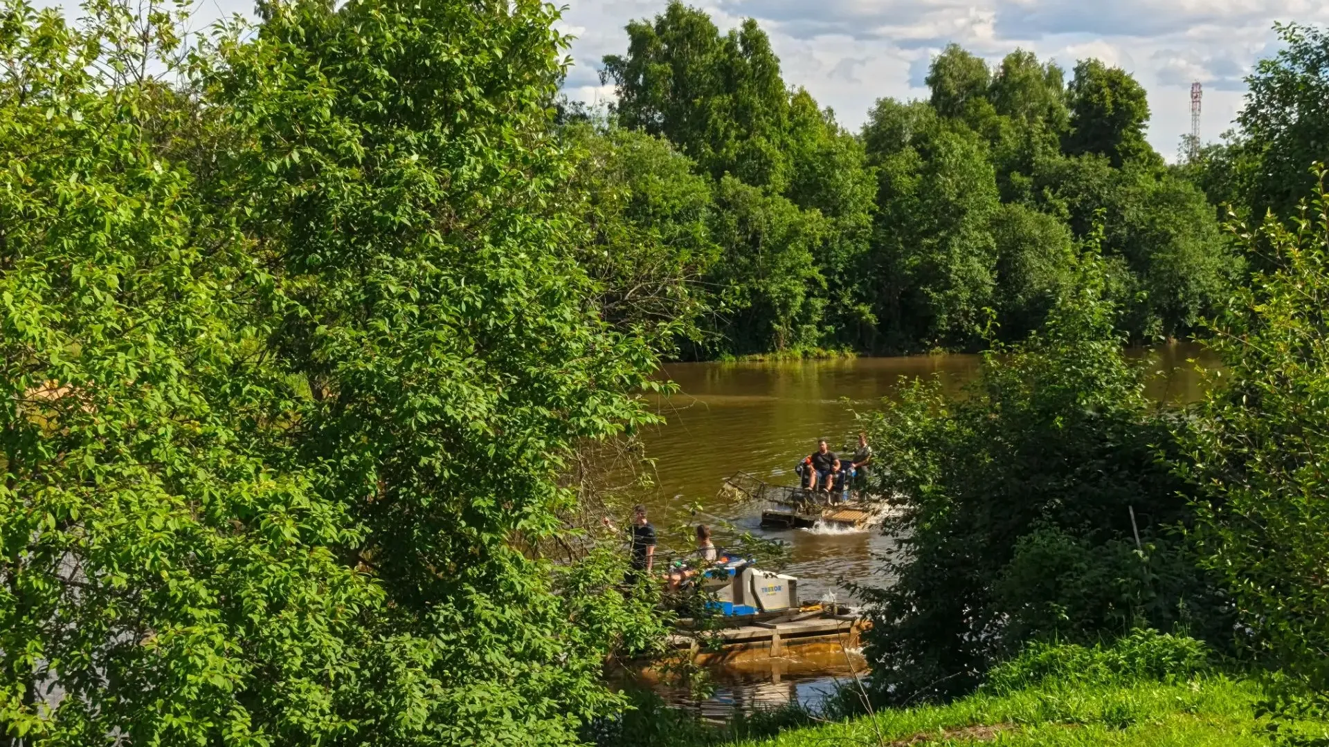 Картинка