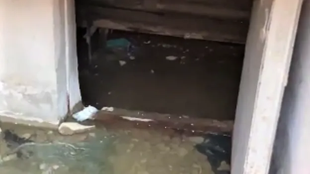 Фото: соцсети