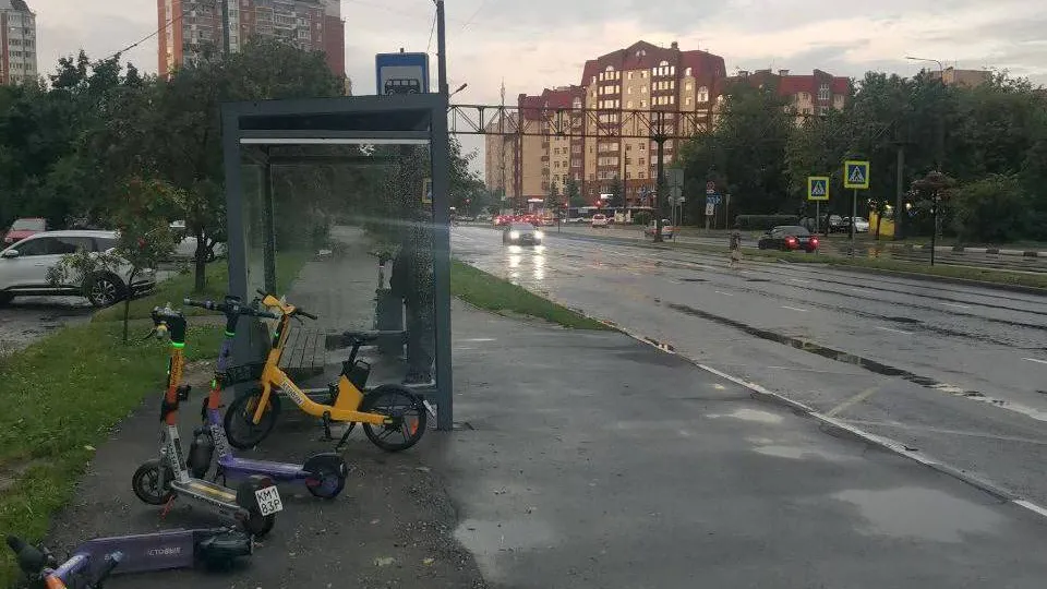 Фото: пресс-служба администрации г.о. Королев