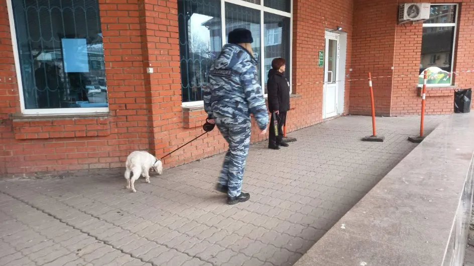 Фото: Мострансавтоо