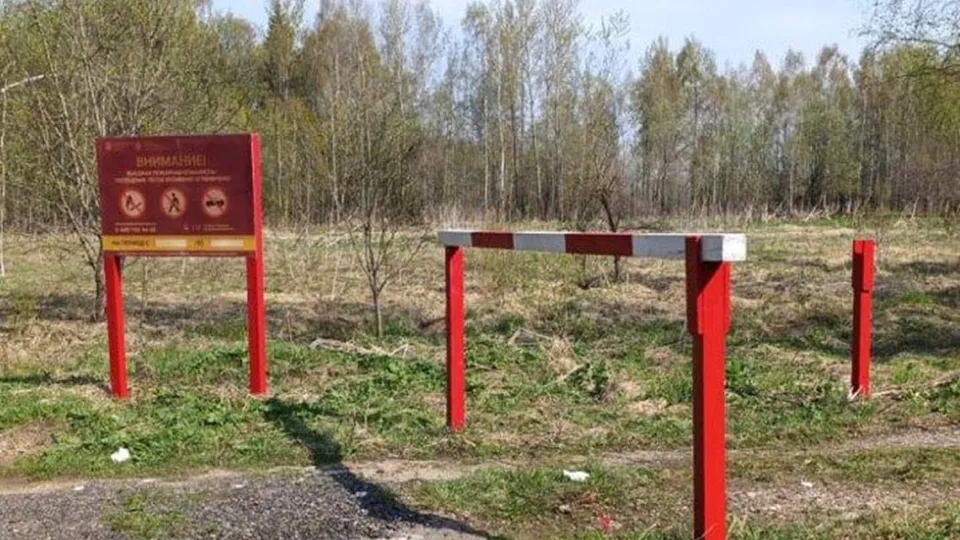 Фото: Комитет лесного хозяйства Московской области