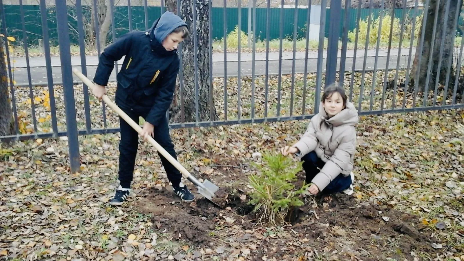 Фото: Комитет лесного хозяйства МО