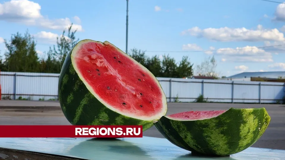 Фото: Никита Сморкалов
