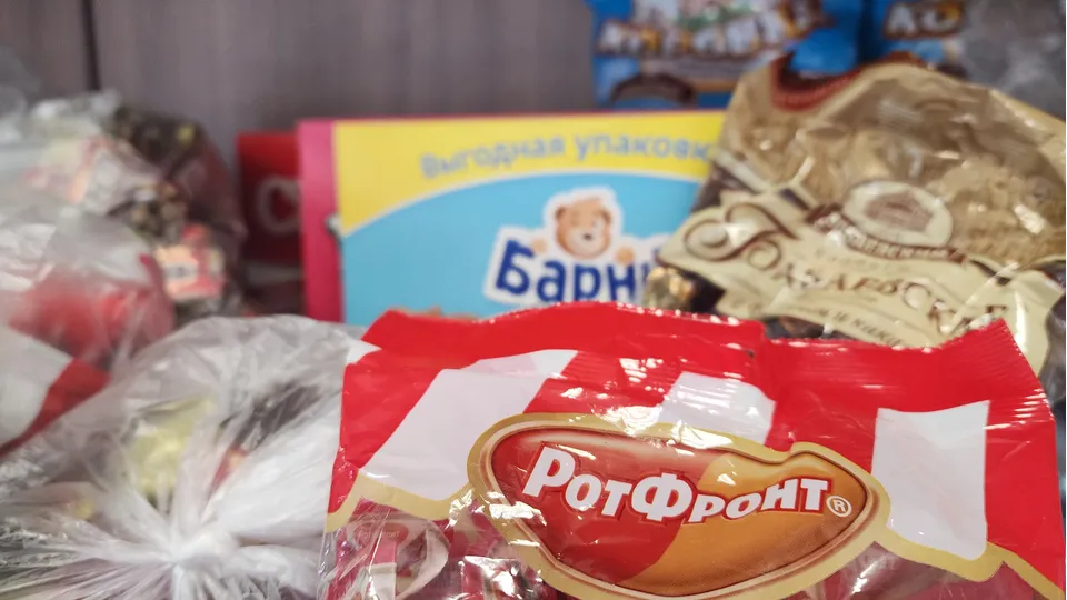 Фото: МедиаБанк Подмосковья/Светлана Плотникова