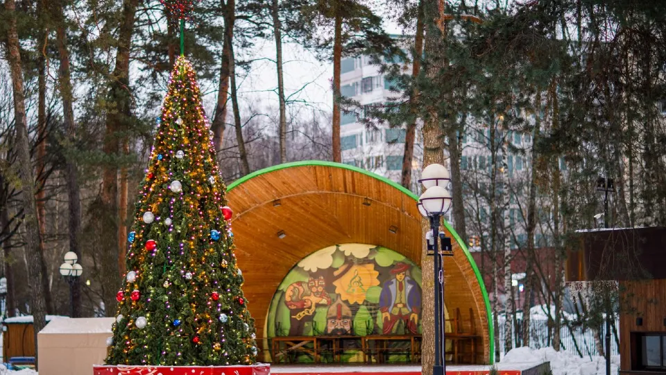 Фото: медиасток.рф