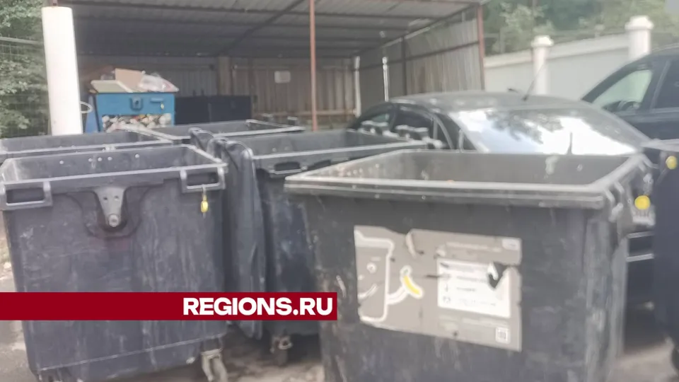 Фото: REGIONS/Юлия Павлова