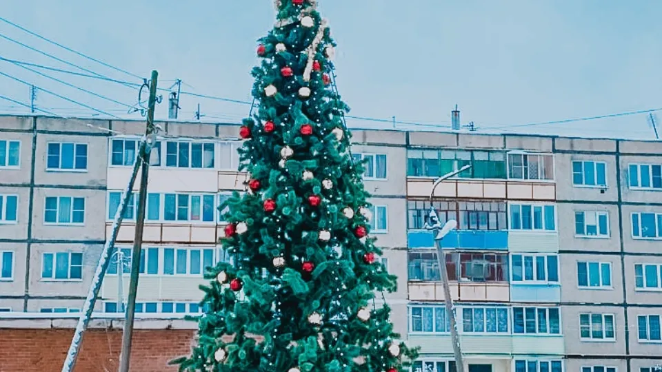 Фото: vk.com/клуб «Саввино»