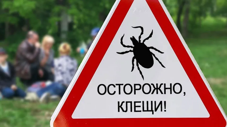Фото: Главное управление МЧС России