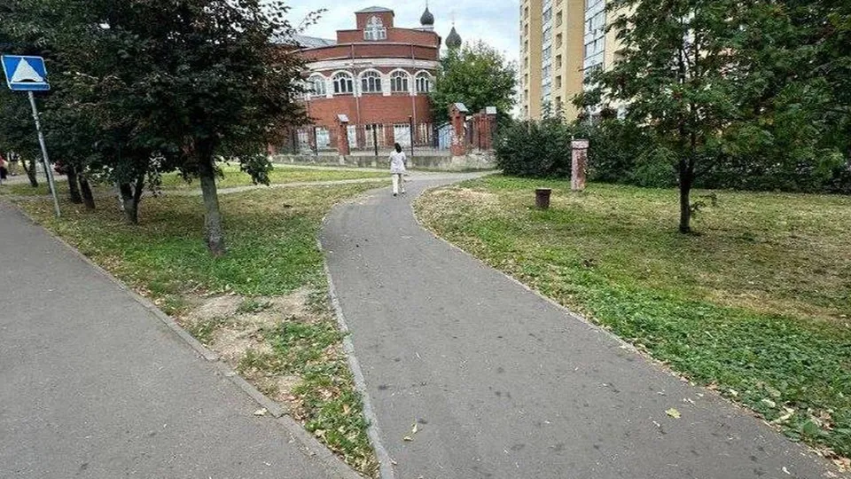 Фото: пресс-служба Администрации г.о. Ленинский